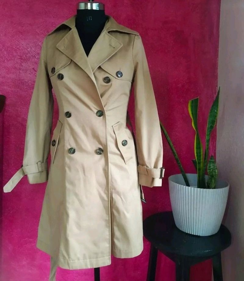 Trench Coat