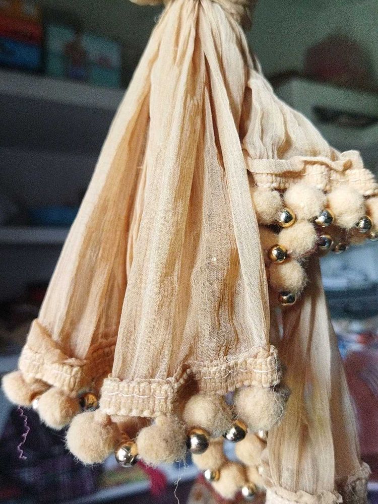 Elegant Beige Dupatta