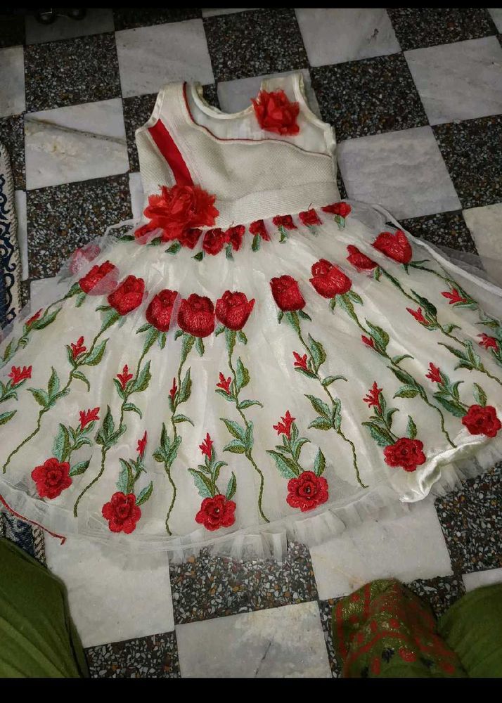 Rose Flower Themed Frock