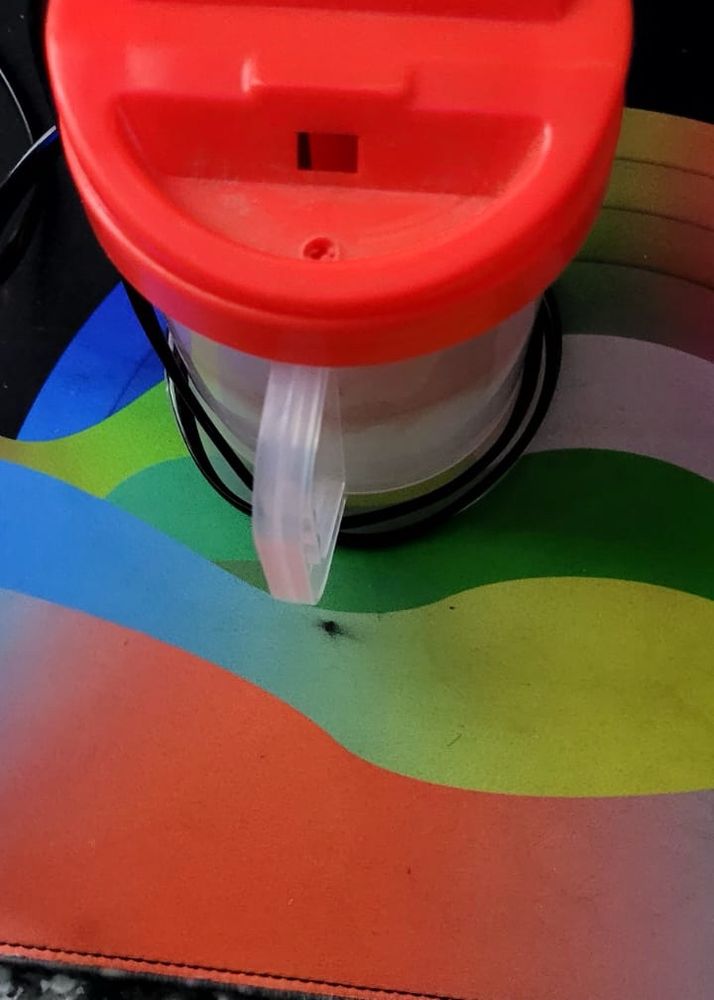 Vaporiser