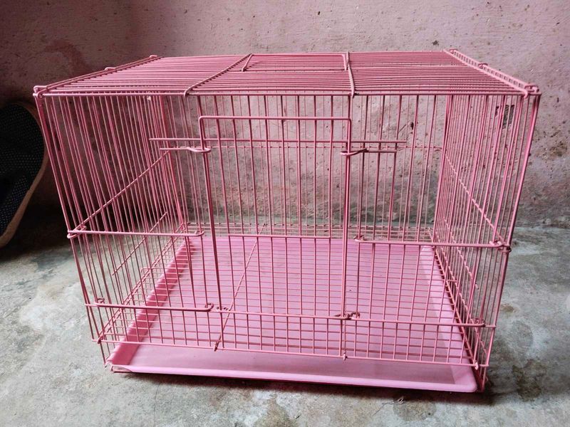 Cage For Birds