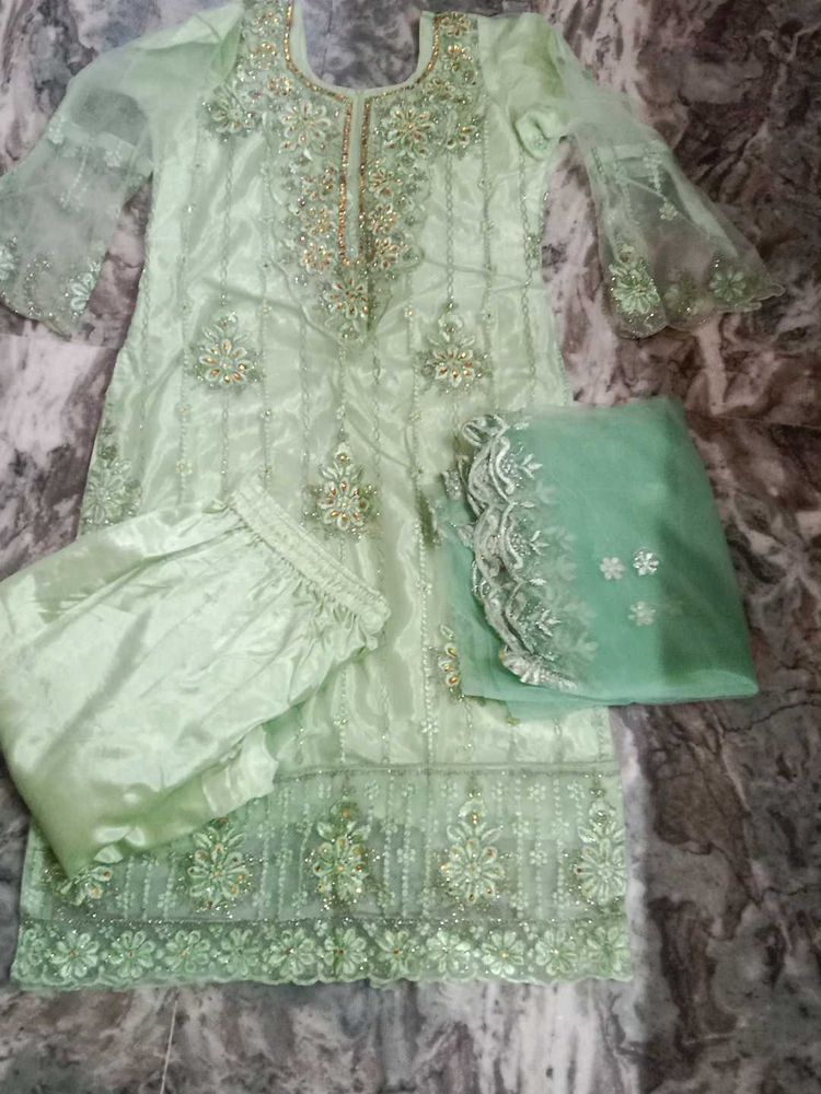 Mint Green Embellished Pakistani Suit