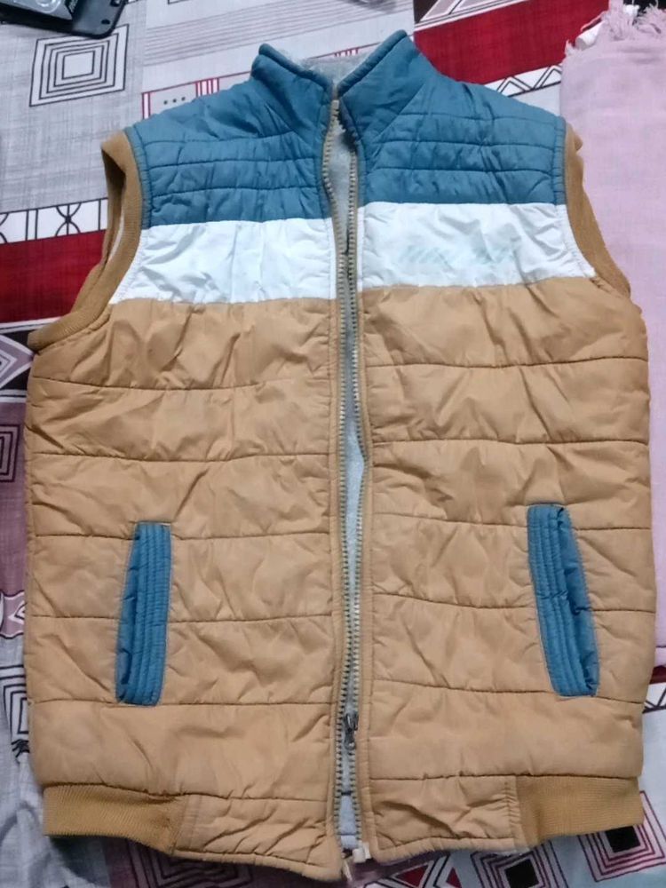 Men Padded Sleeveless Jacket