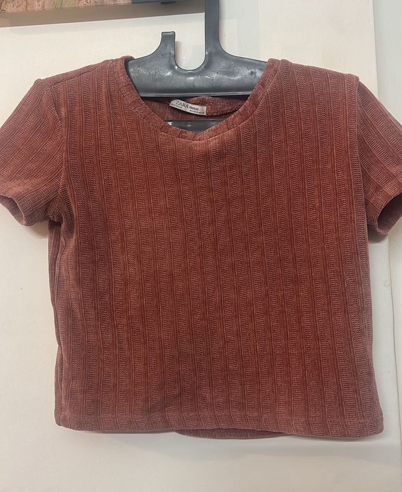 Zara Basic Cropped Tee