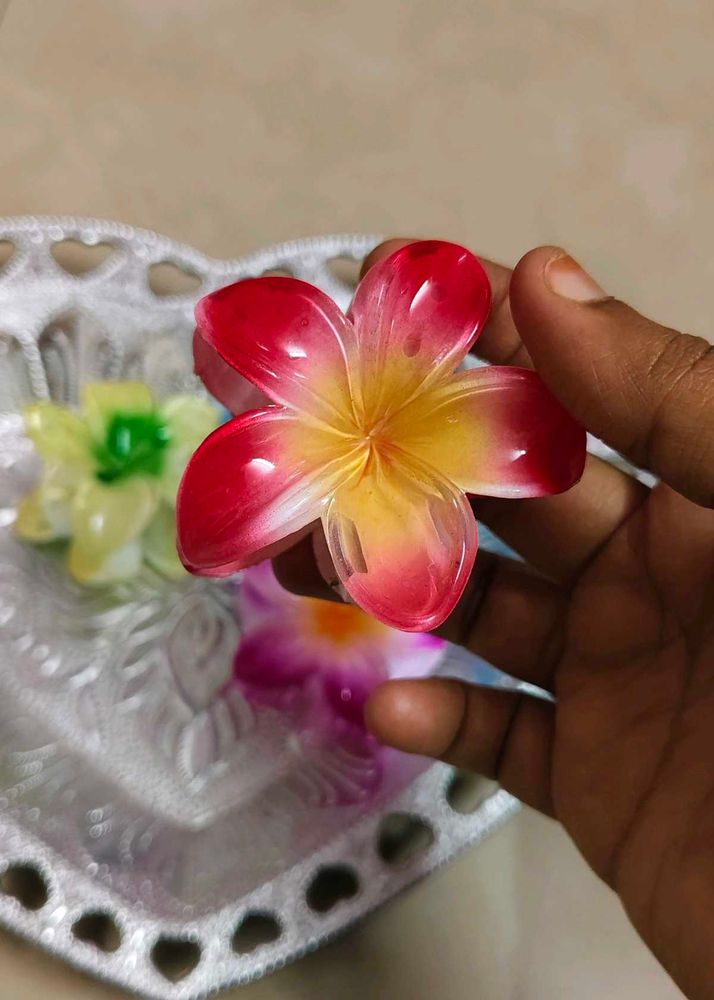 Pinterest Hair Claws At Affordable Price Each 35rs