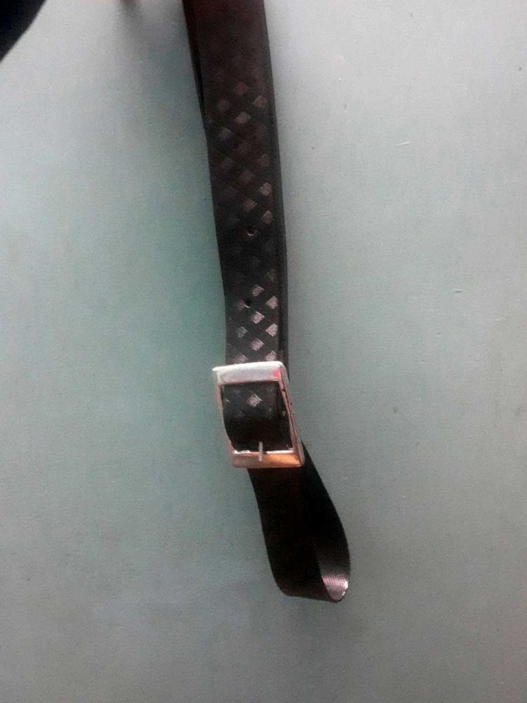 Belt
