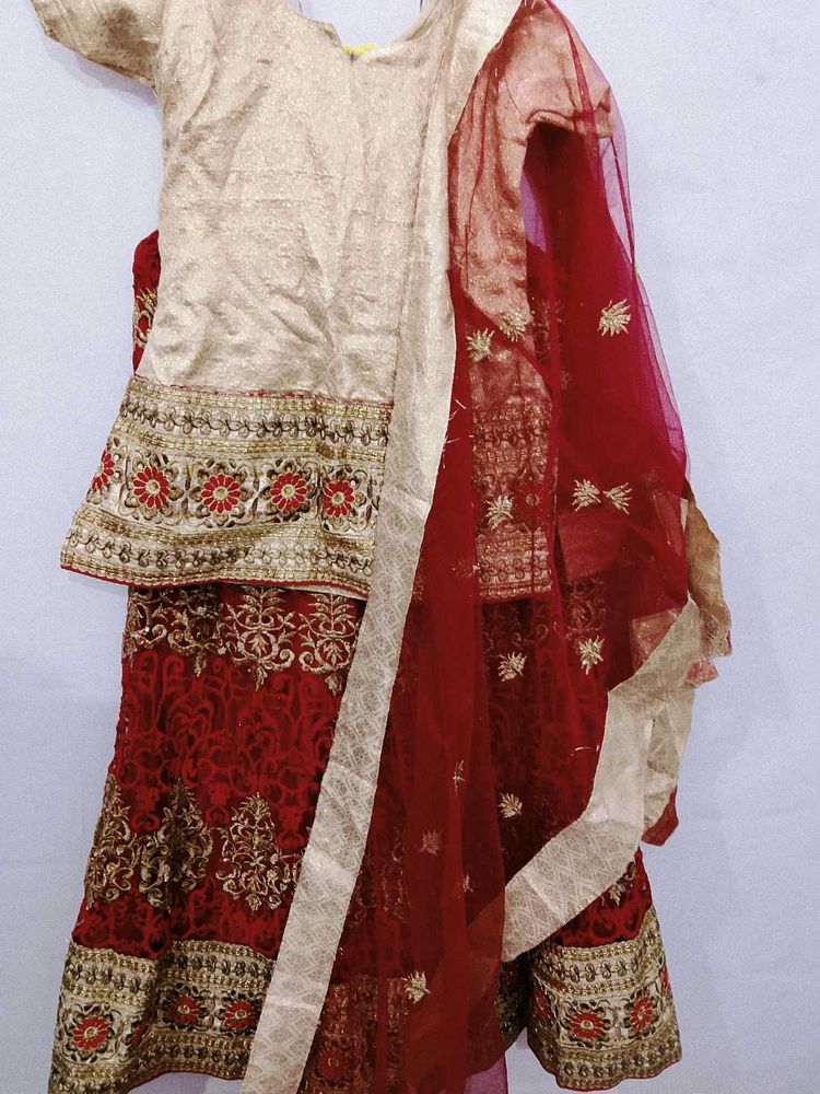 Elegant Lehenga Choli Set