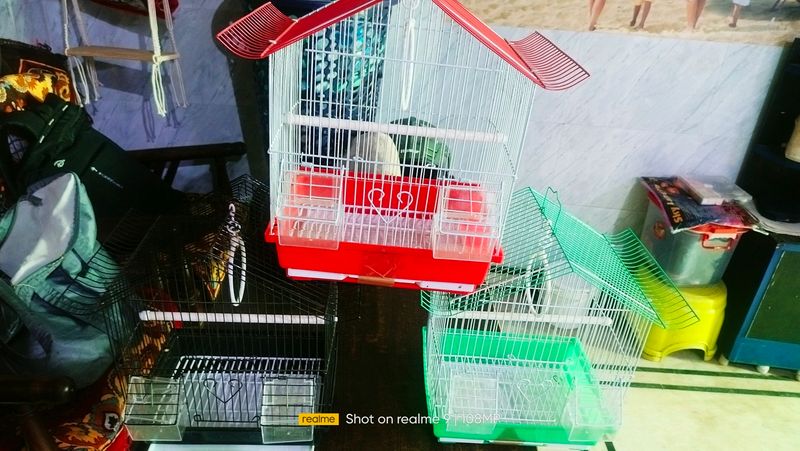 Folding Cage Pijara