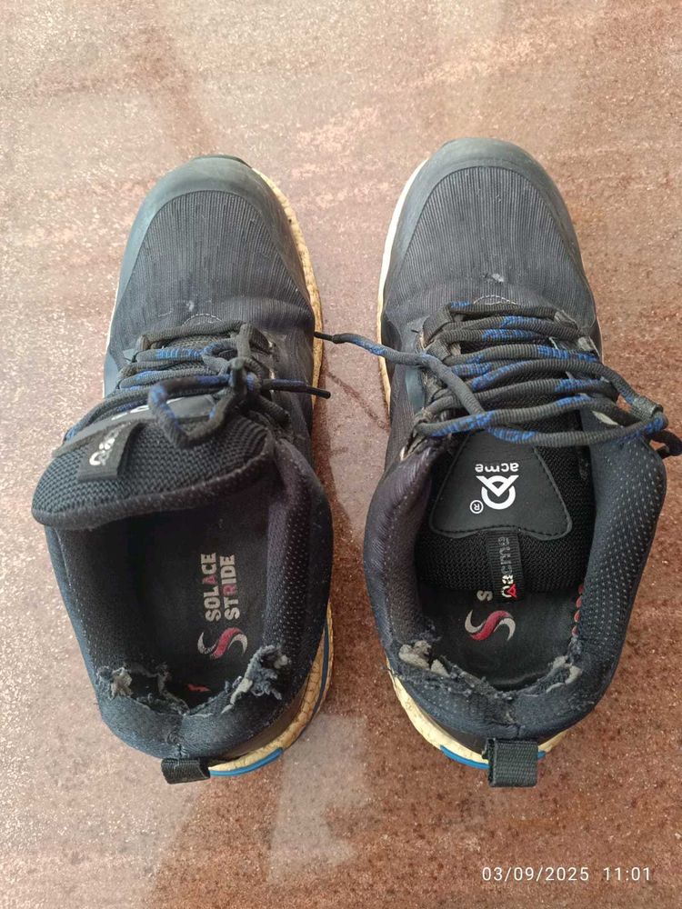 ACME Trekking Shoes