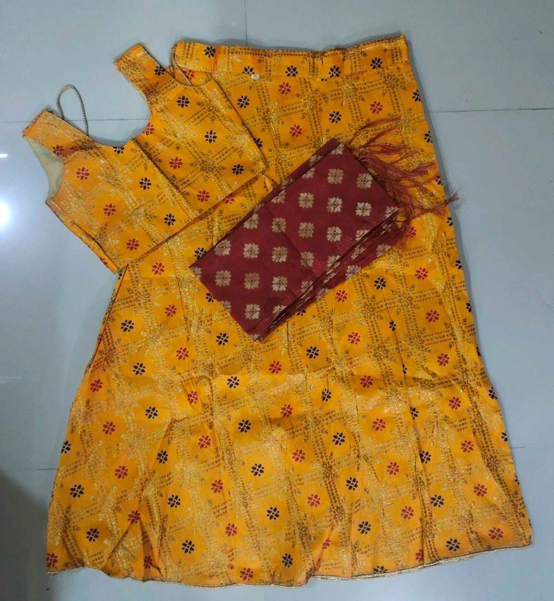 Festive Lehenga Choli Set