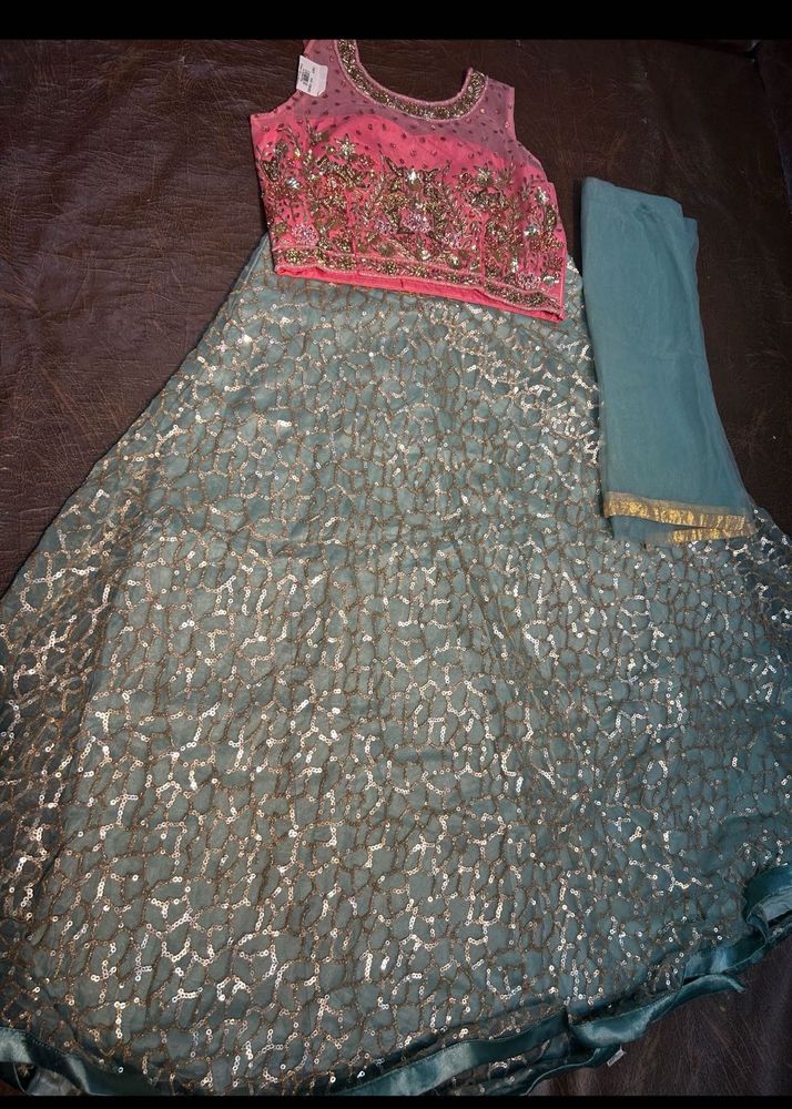 Embroidered Lehenga Choli Set
