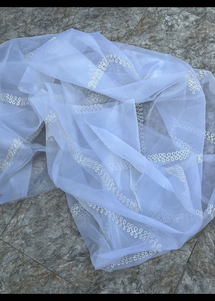 Dyeable Organza Duppatta All Over Emboridery