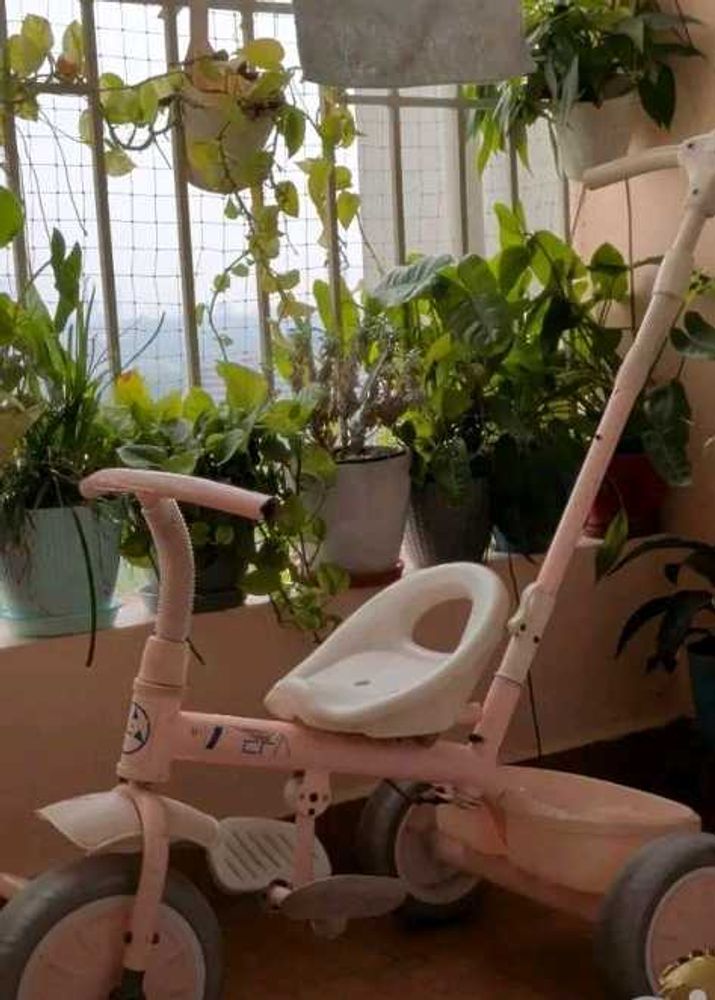 Baby Tricycle with Push Handle – Good Condition