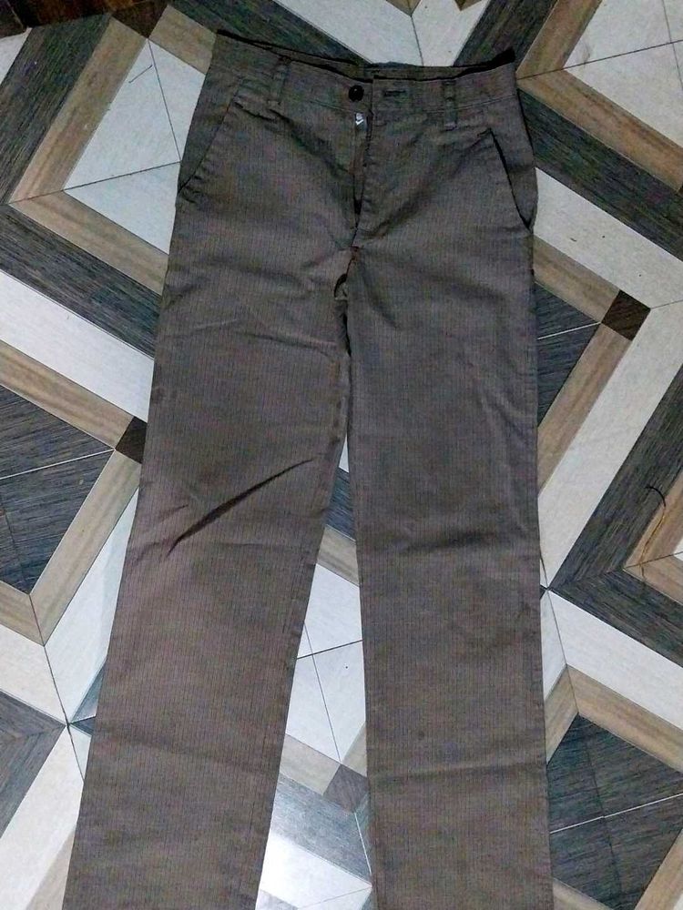 Brown Striped Casual Pants