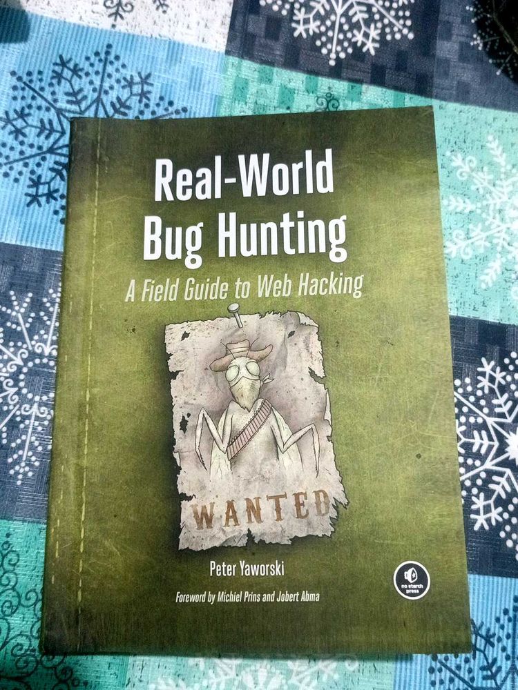 Real-World Bug Hunting