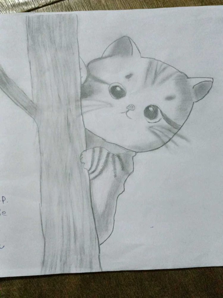 Cute Cat Pencil Sketch