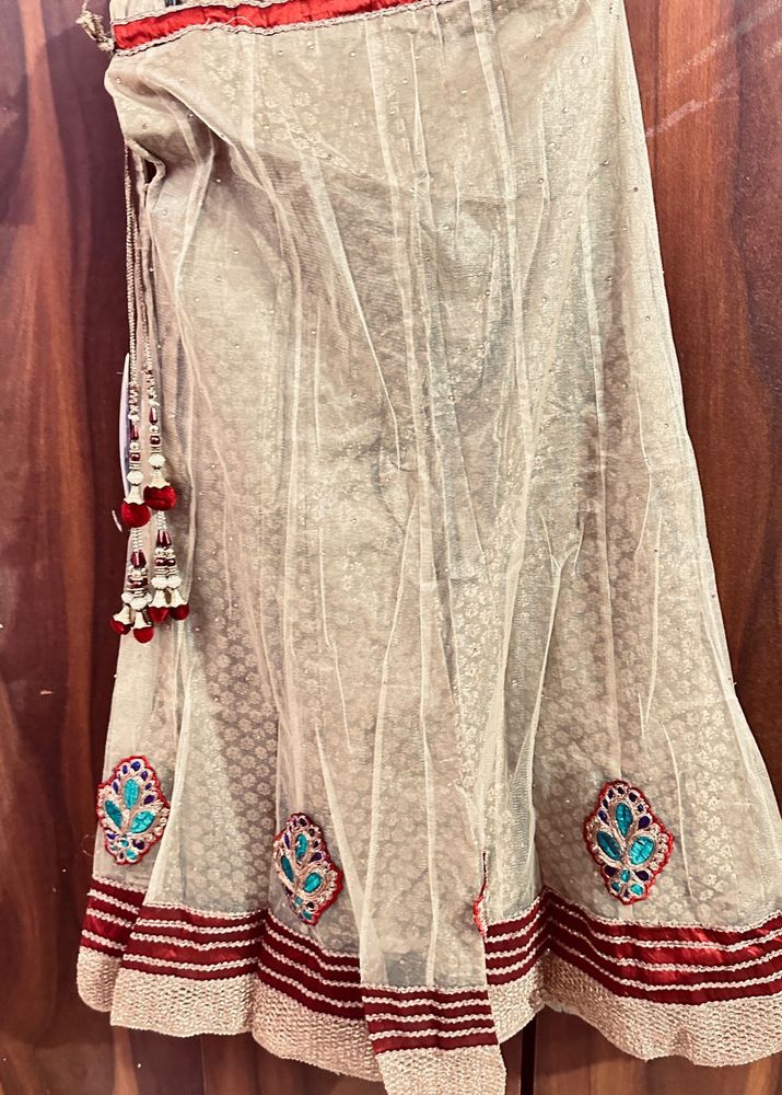 Ethnic Lehnga choli set without chunni