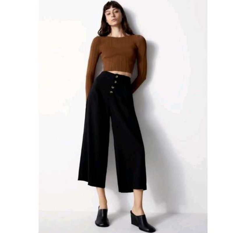 Zara Culottes Pants