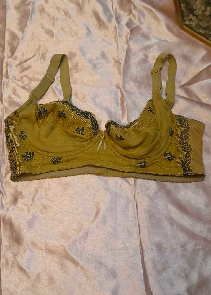 Elegant Embroidered Bra