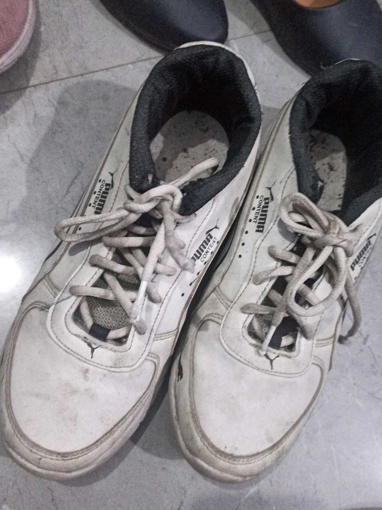 Puma Sports Shoes