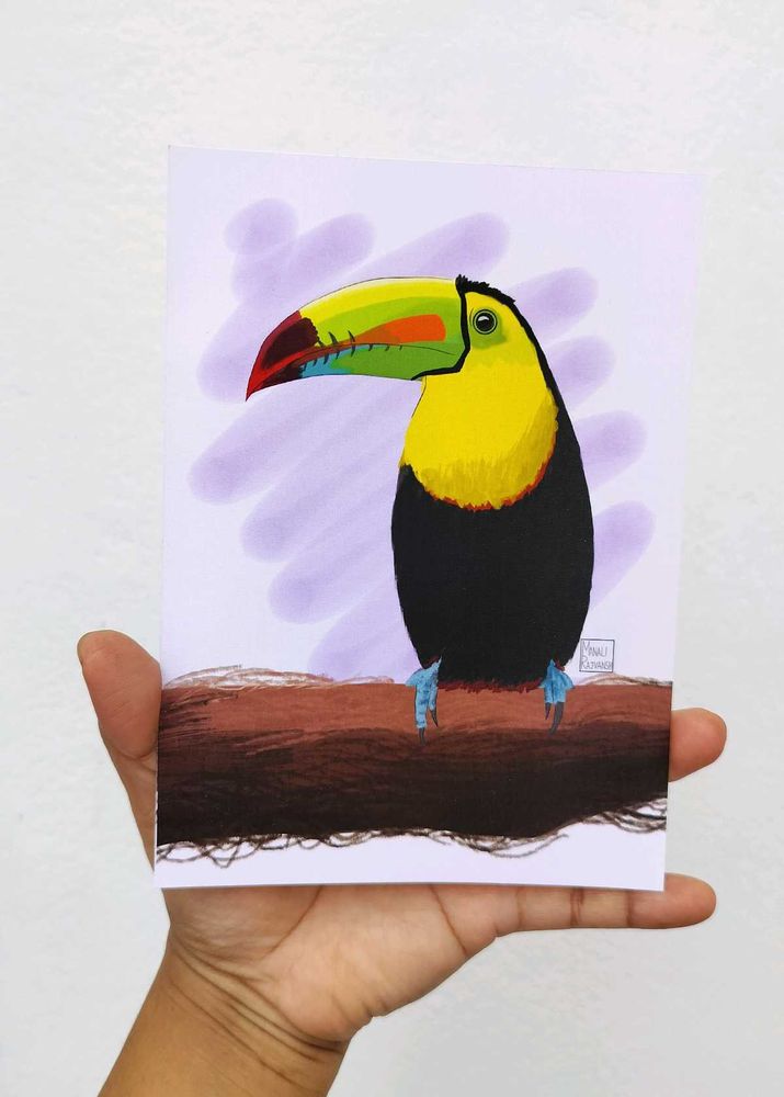 Toucan- Unframed Artwork