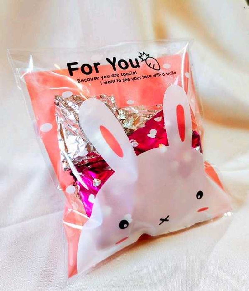 Mystery Bags (pack of 10)best for gifting