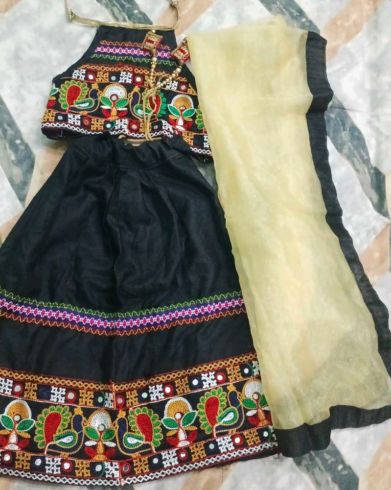 Embroidered Lehenga Choli Set