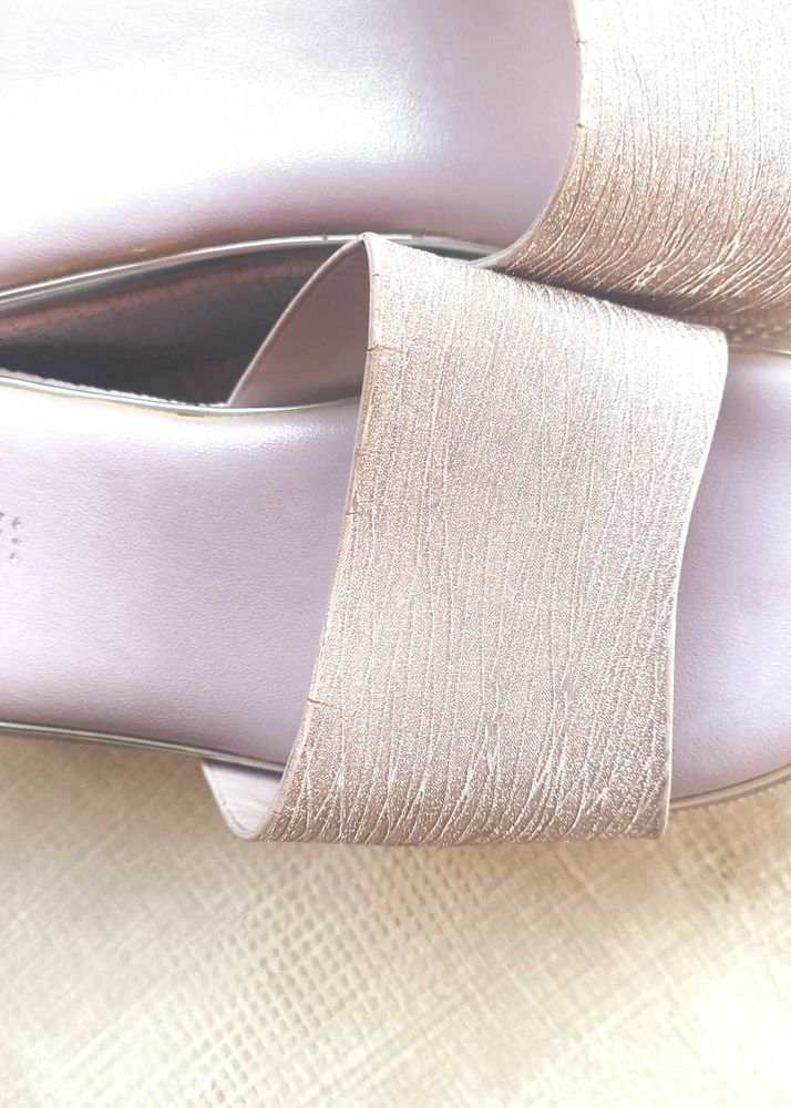 Elegant Champagne Slides