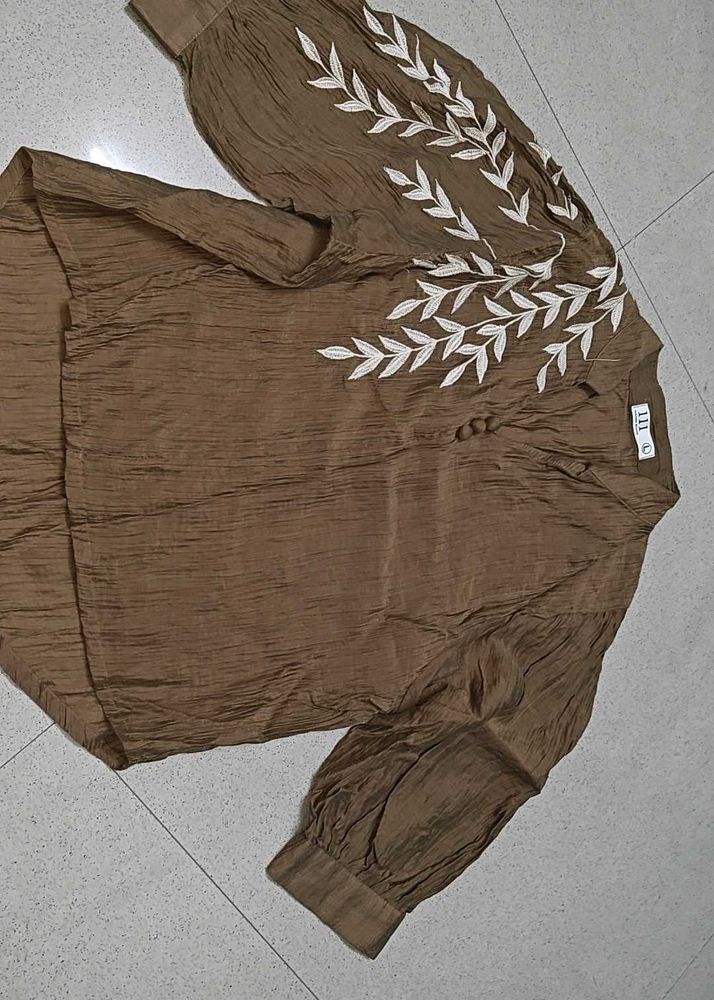 Embroidered Brown Blouse