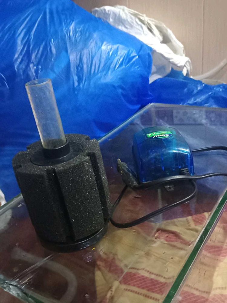 Aquarium Filter &amp; Air Pump