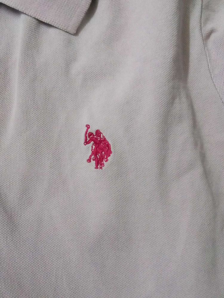 US Polo Stylish Pink Men T Shirt