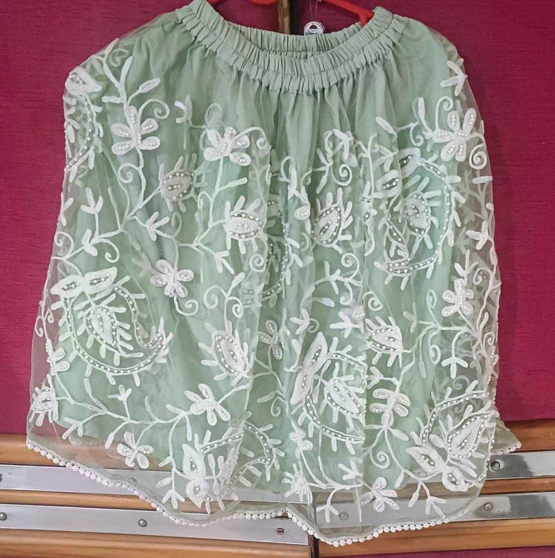 Embroidered Net Skirt