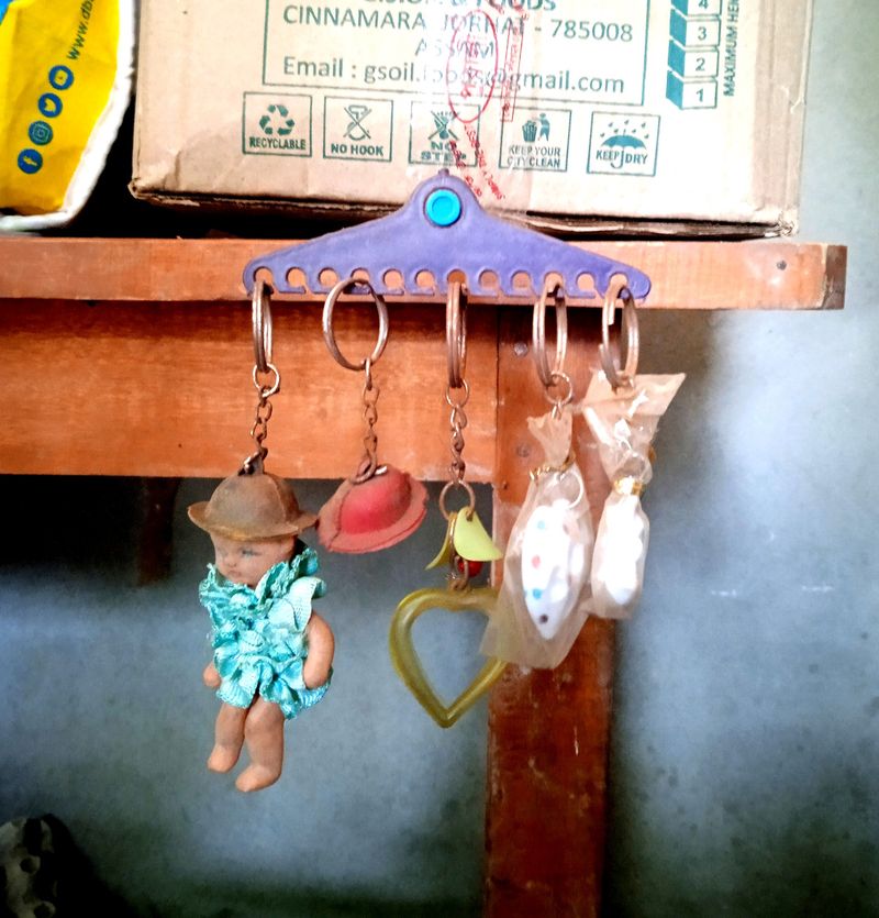 Pack Of 5 Mini Key chains .