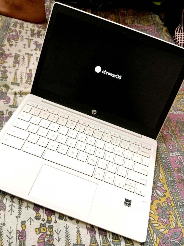 hp chromebook