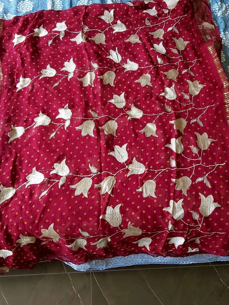 Zari Borders Embroidery Work Saree