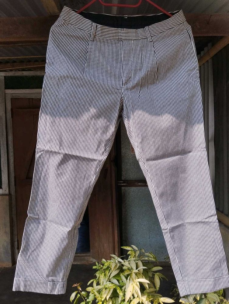 Striped Casual Pants