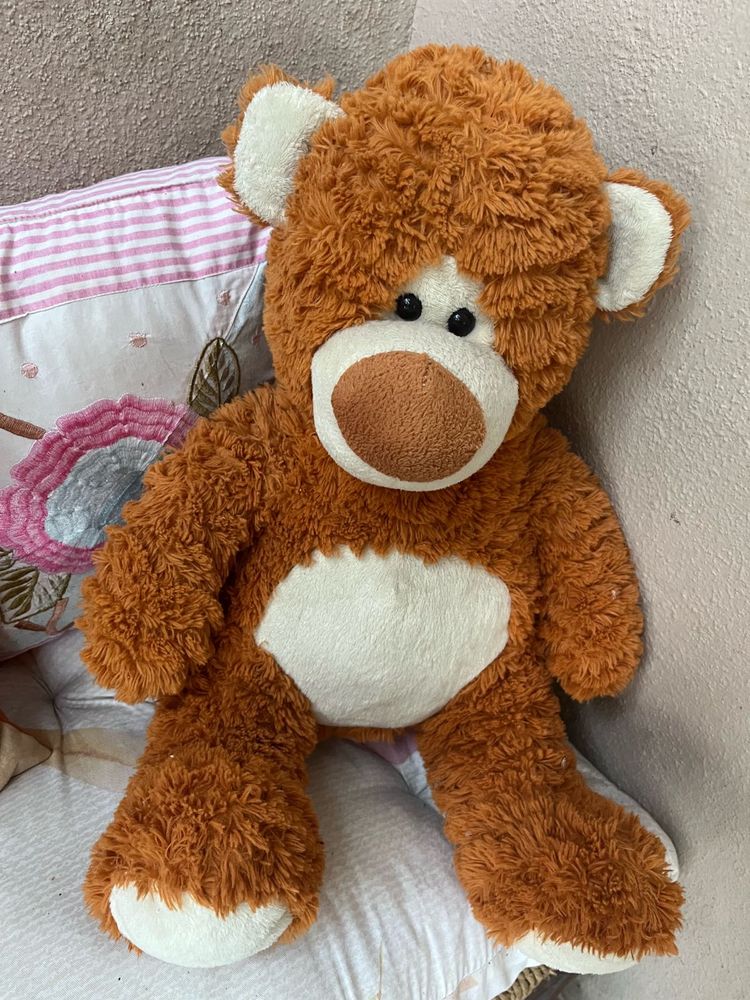 Teddy Bear Toy