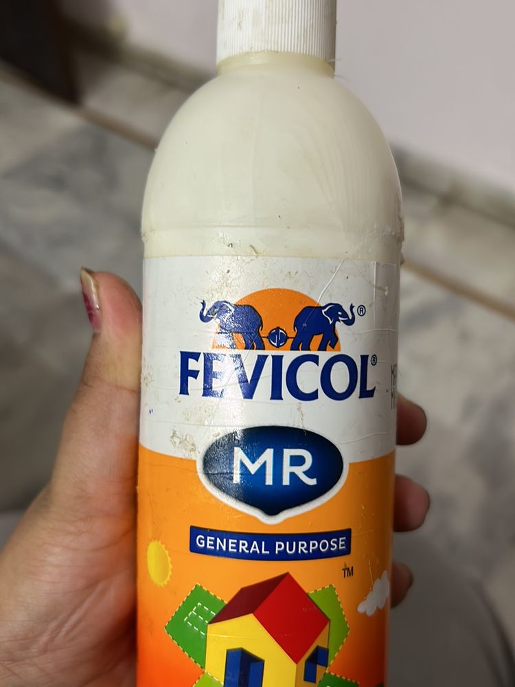 Fevicol 500 Gm