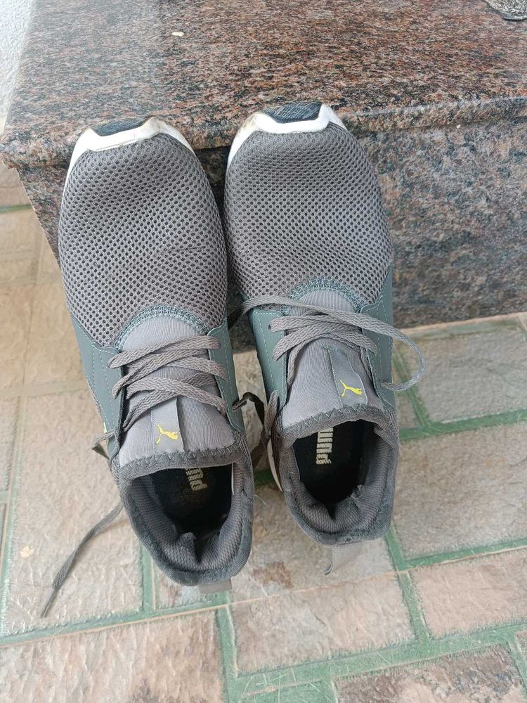 Puma Gray Sneakers