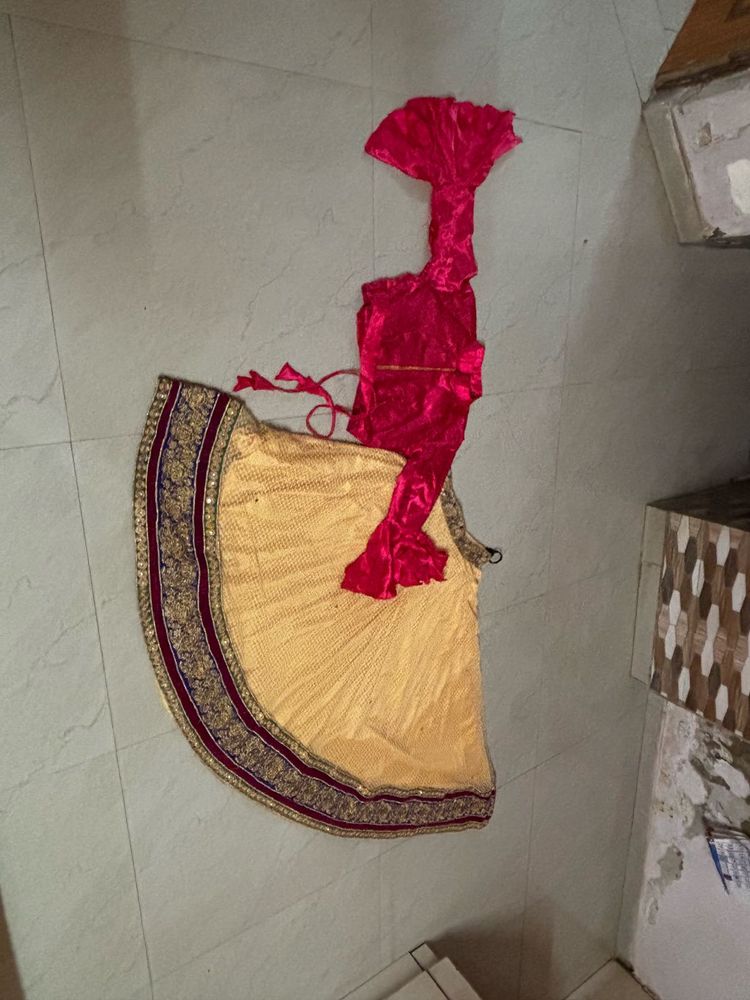 Gaghra Blouse