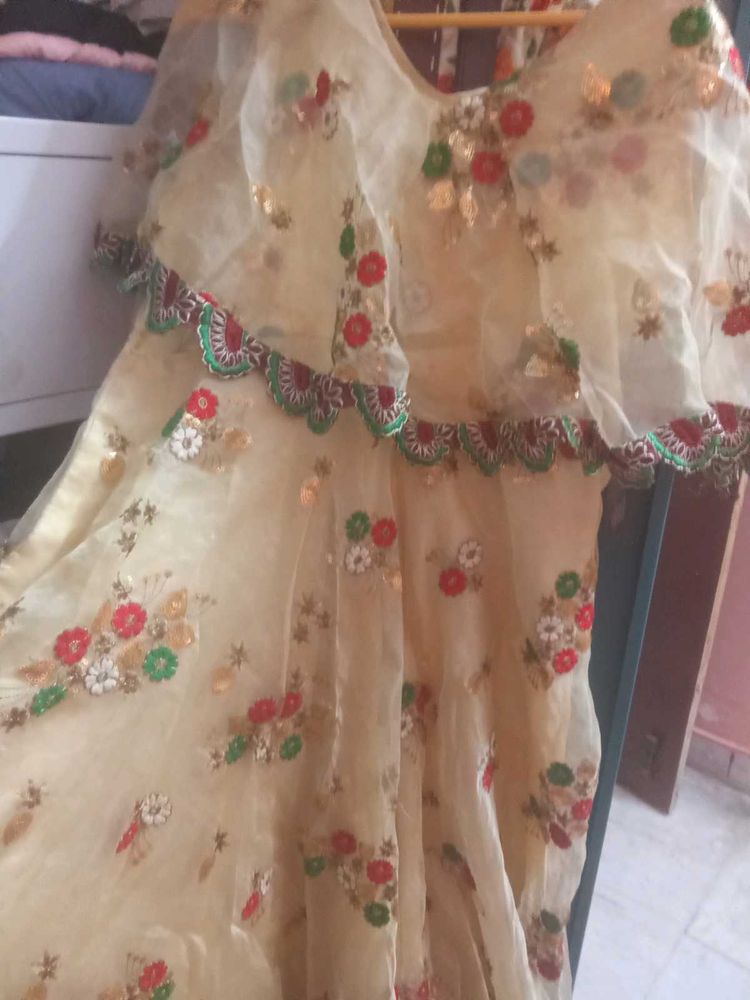 Embroidered Lehenga Choli