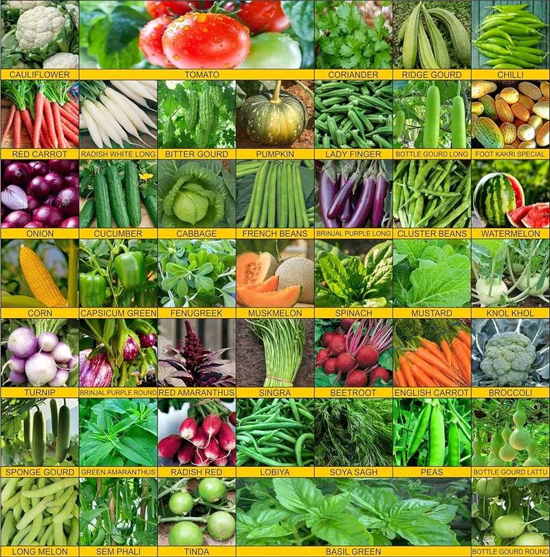 Winter Season Vegetables Seeds Kit 16 type seed