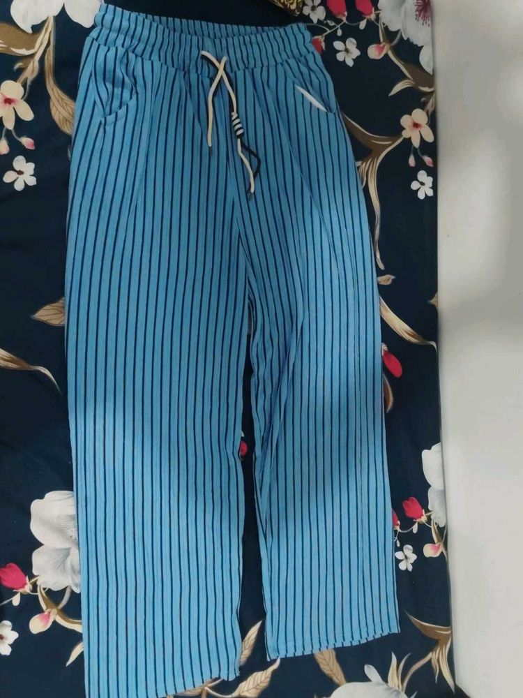Plazo Pant