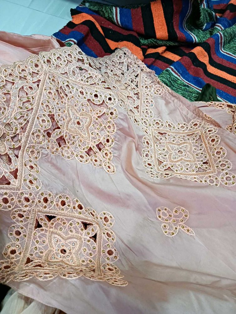 Pich Colour Plazo Suit