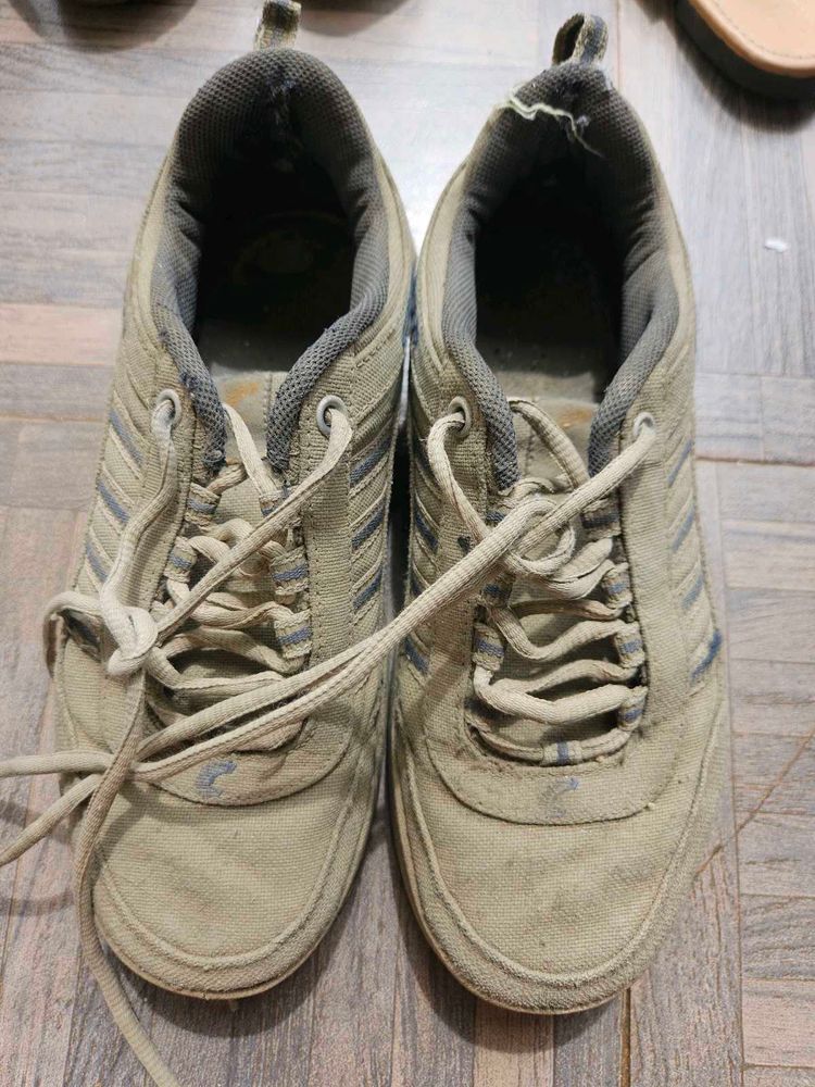 Casual Shoes