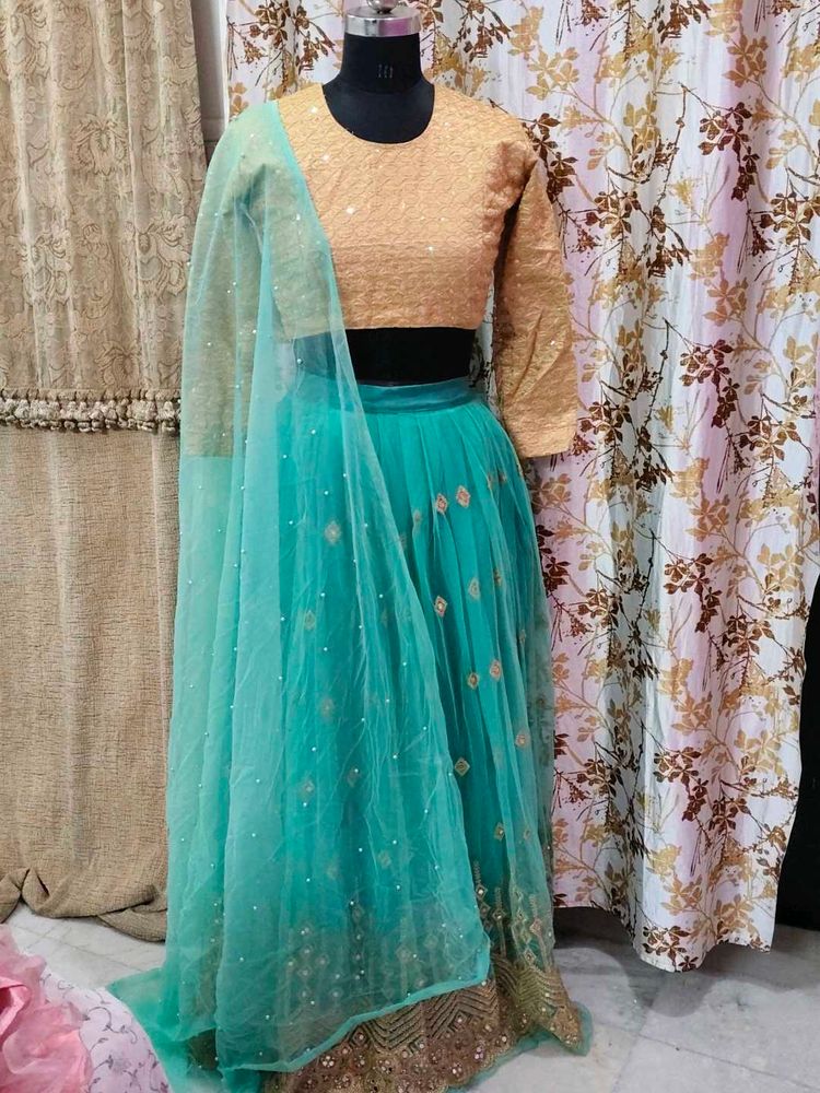 Elegant Lehenga Choli Set