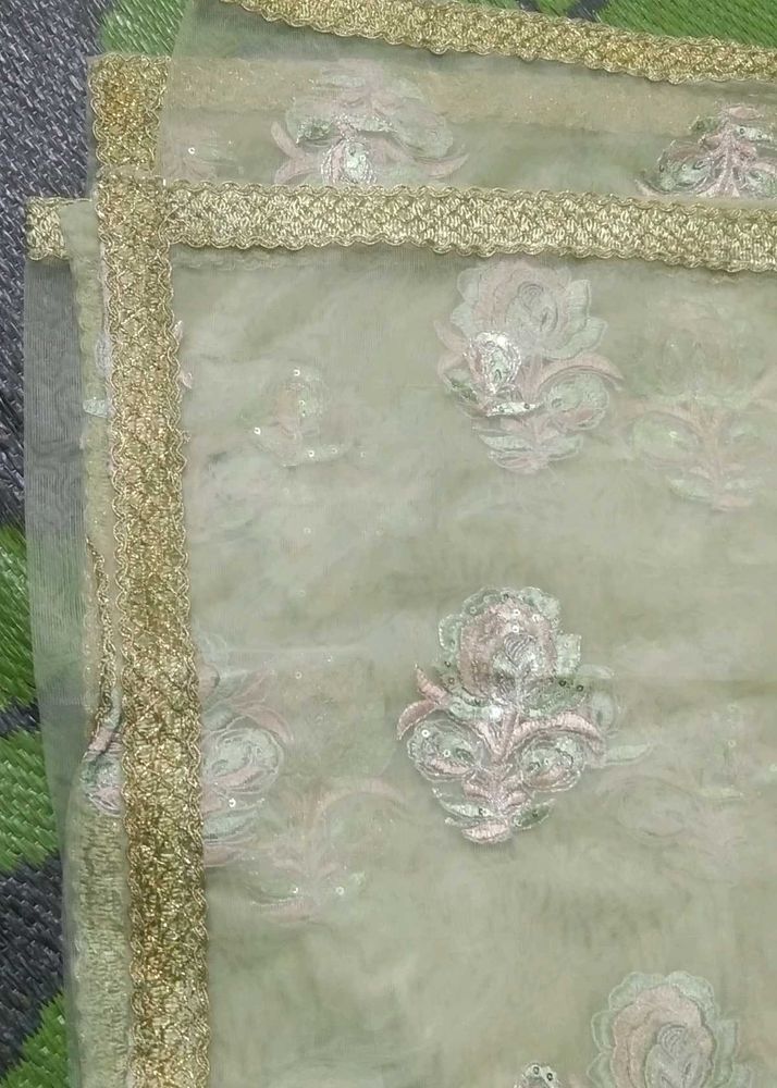 Net Pista Colour Dupatta