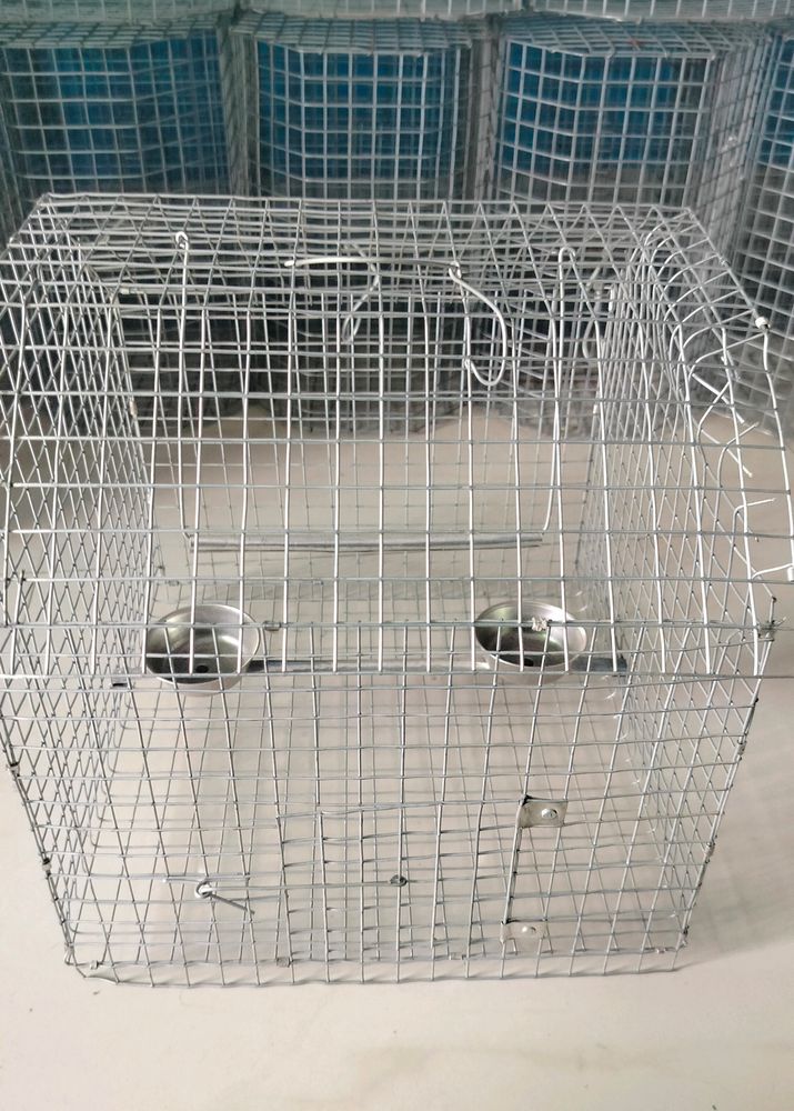 Parrots Cage (Pijara)
