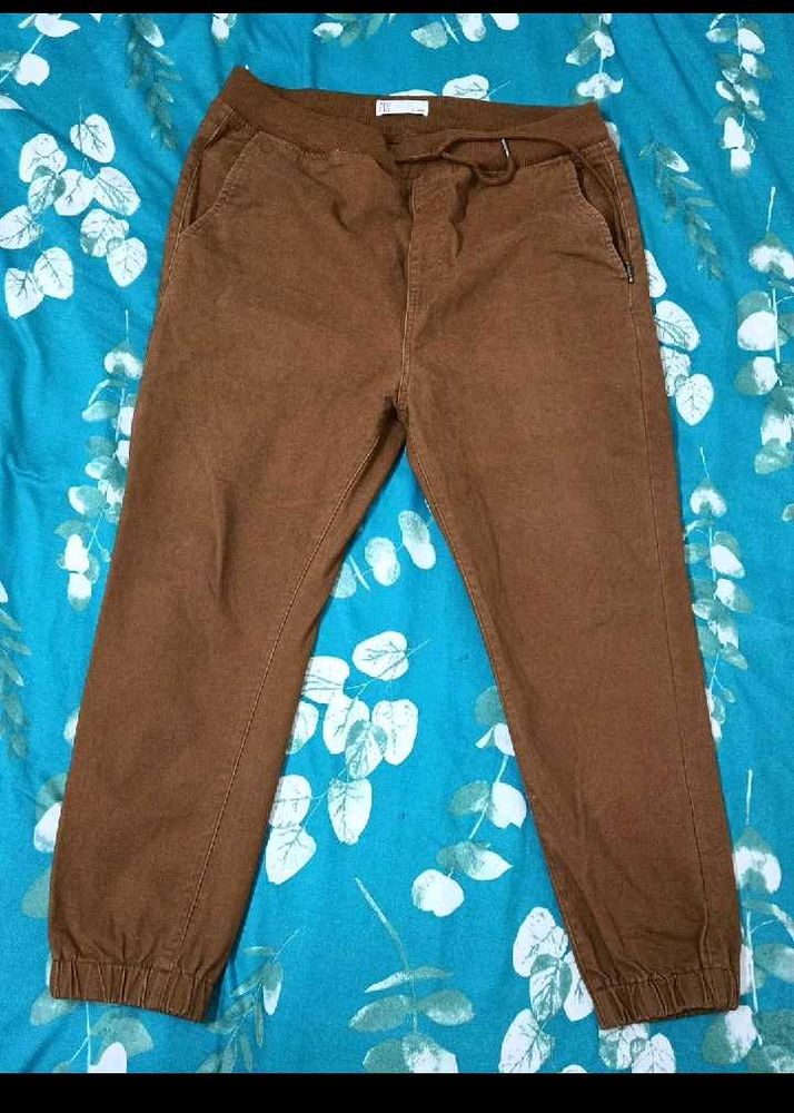 Brown Casual Jogger Pants