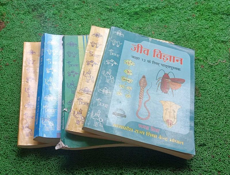 11th + 12th NCERT Books